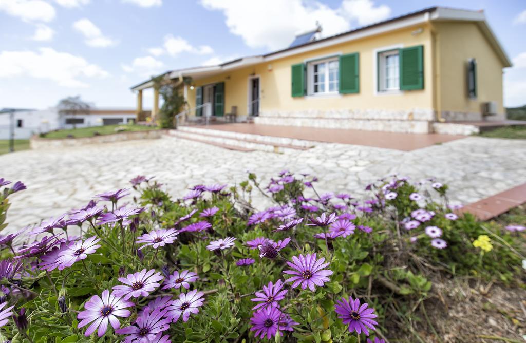 Villa Raimonda Putifigari ภายนอก รูปภาพ